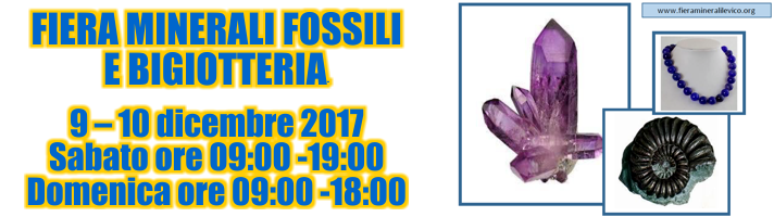 FIERA MINERALI FOSSILI E BIGIOTTERIA - 9-10 dicembre 2017