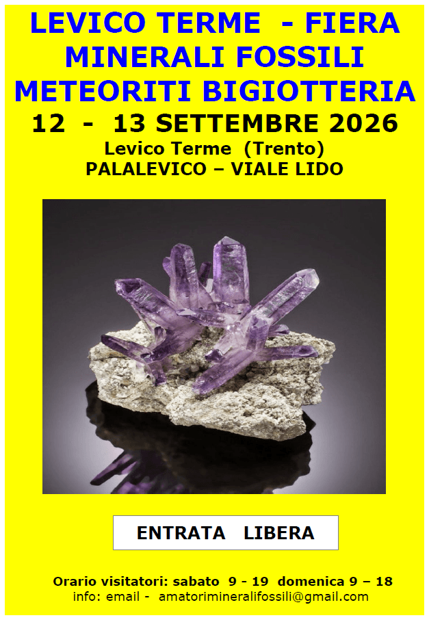 Fiera Minerali Fossili Meteoriti Bigiotteria - 12-13 settembre 2026